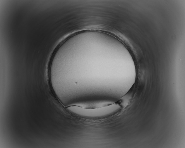 X0000087741230200705291006