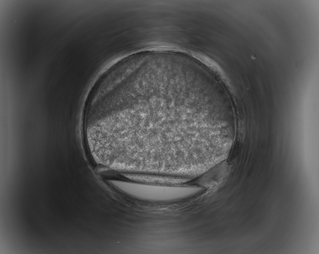 X0000087741231200705291006