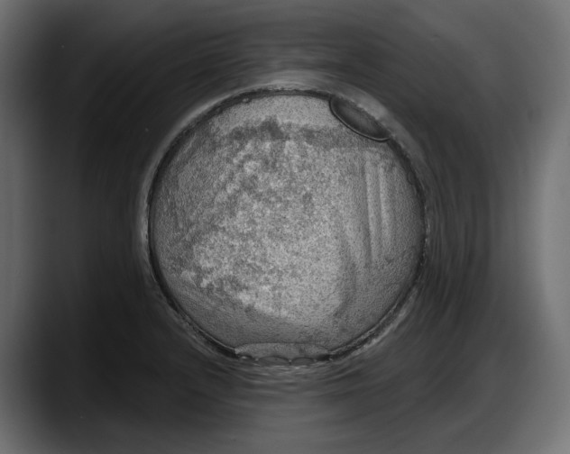 X0000087741232200705291006
