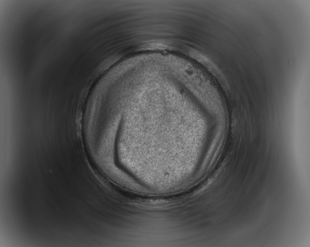 X0000087741233200705291006