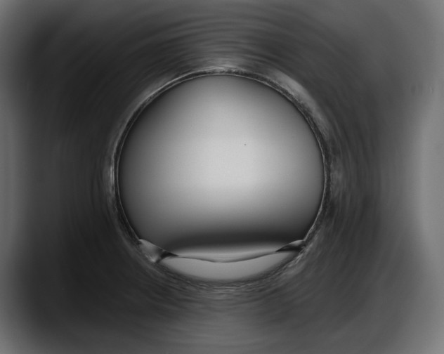 X0000087741234200705291006