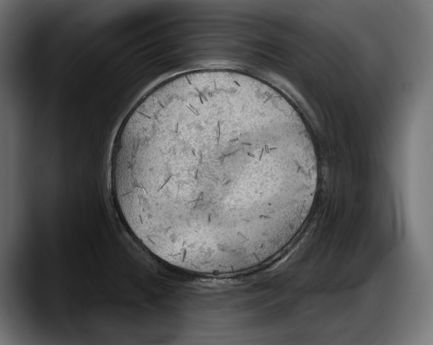 X0000087741236200705291006