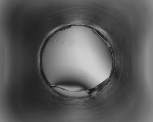 X0000087741238200705291006