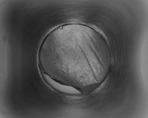 X0000087741239200705291006