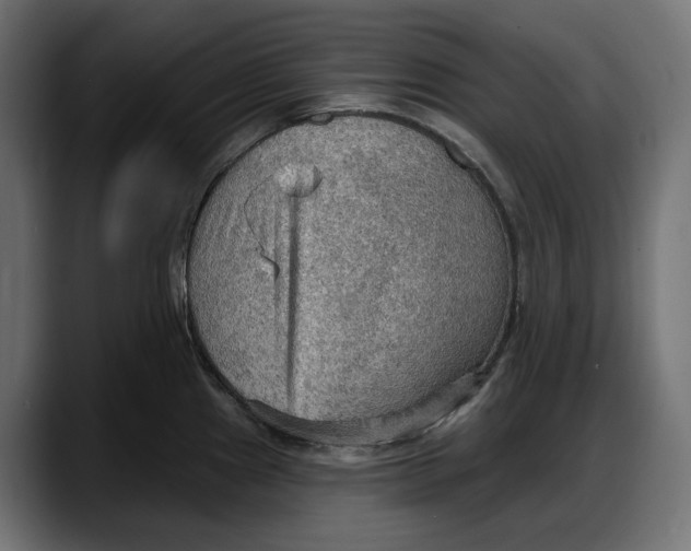 X0000087741241200705291006