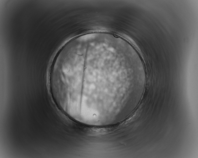 X0000087741243200705291006