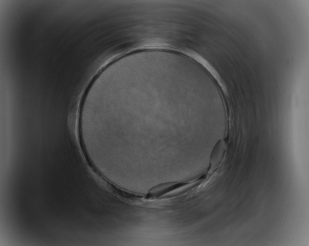 X0000087741245200705291006