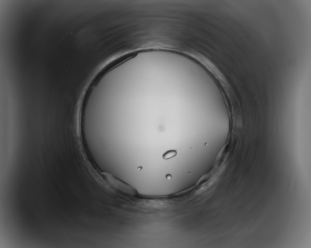 X0000087741246200705291006