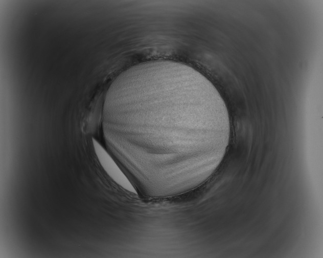 X0000087741250200705291006