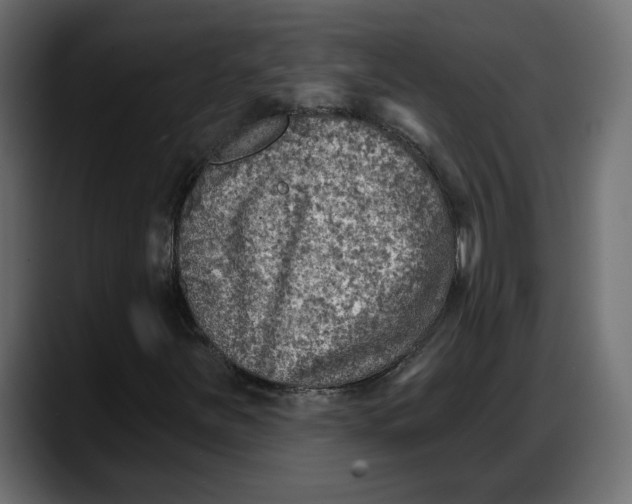 X0000087741251200705291006