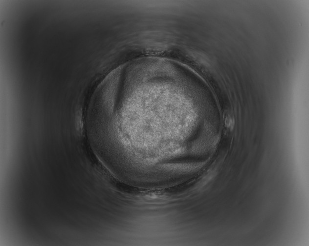 X0000087741252200705291006