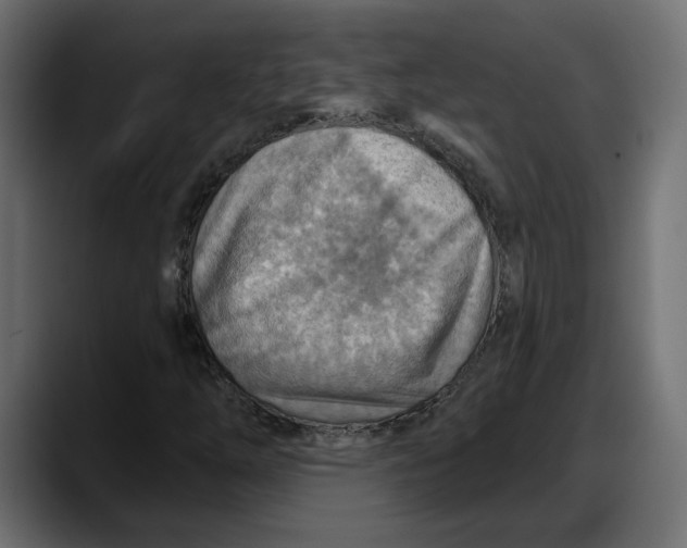 X0000087741254200705291006