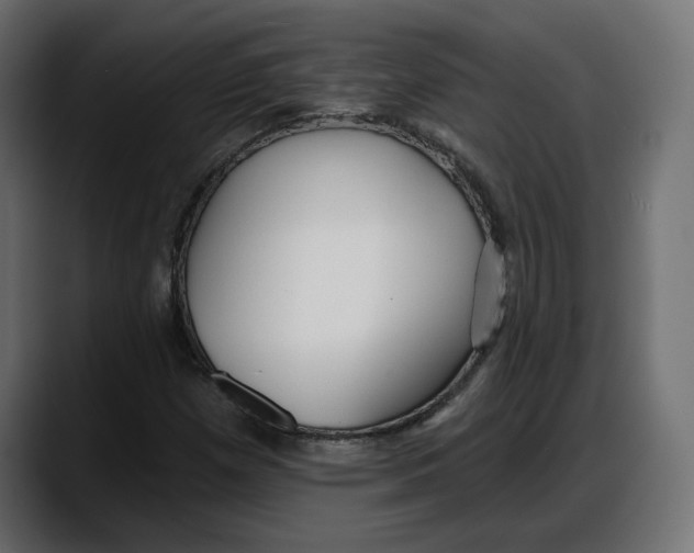X0000087741257200705291005
