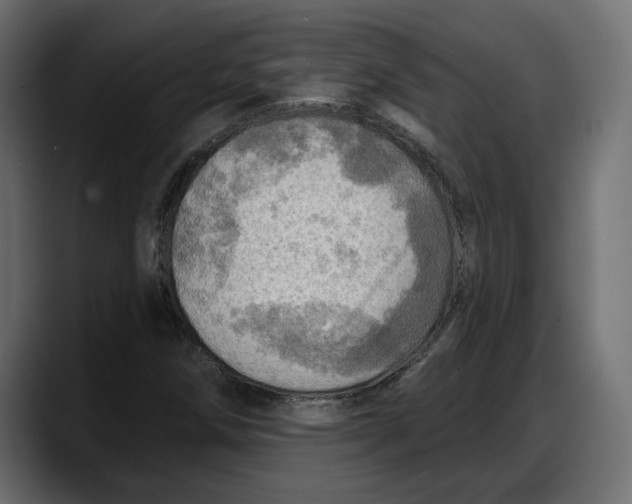 X0000087741258200705291005