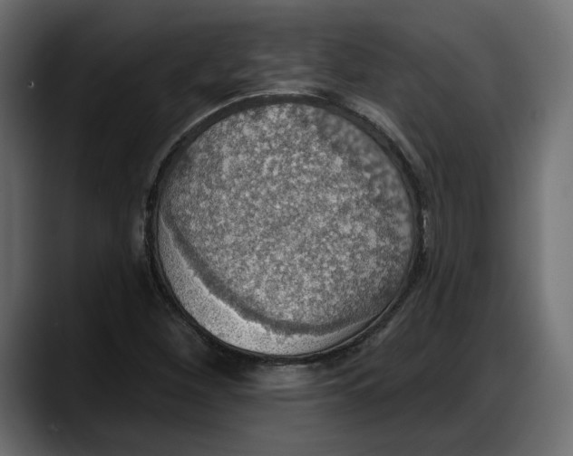 X0000087741260200705291005