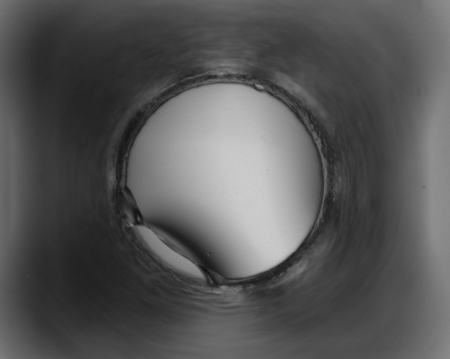 X0000087741261200705291005
