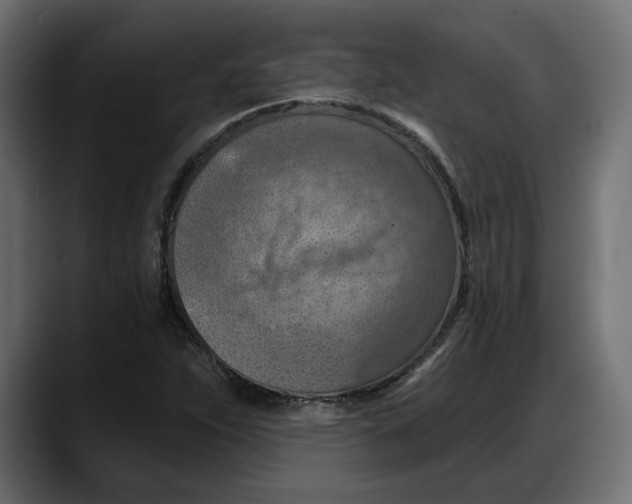 X0000087741263200705291005