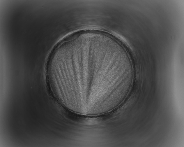 X0000087741264200705291005