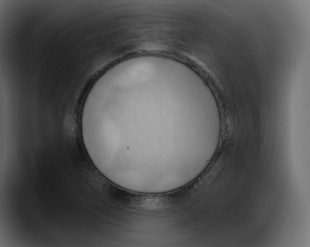 X0000087741266200705291005