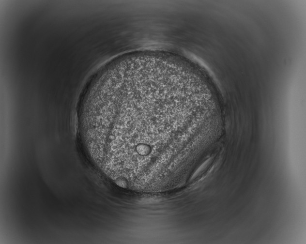 X0000087741267200705291005