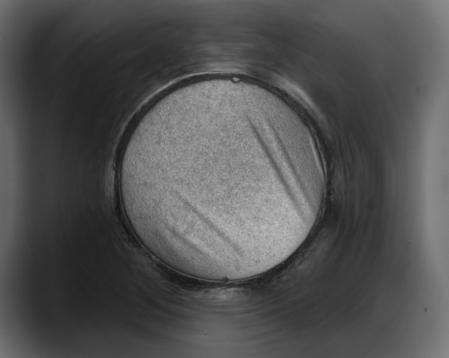 X0000087741268200705291005