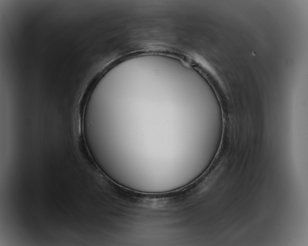 X0000087741269200705291005