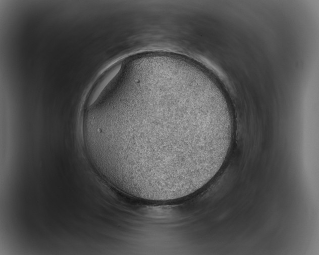 X0000087741272200705291005