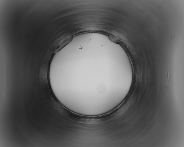 X0000087741273200705291005