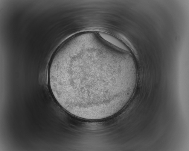 X0000087741276200705291005