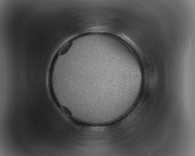 X0000087741277200705291005