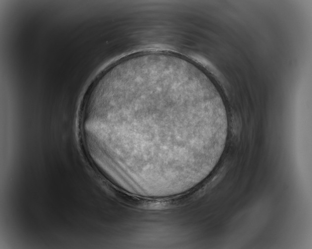X0000087741278200705291005
