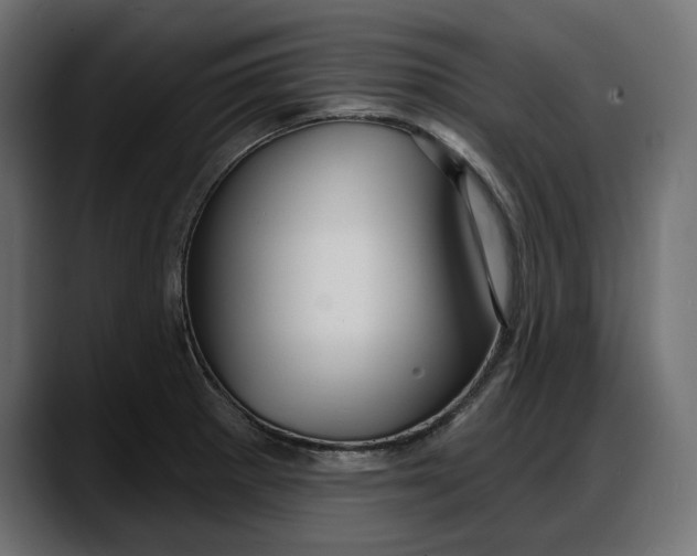 X0000087741281200705291005