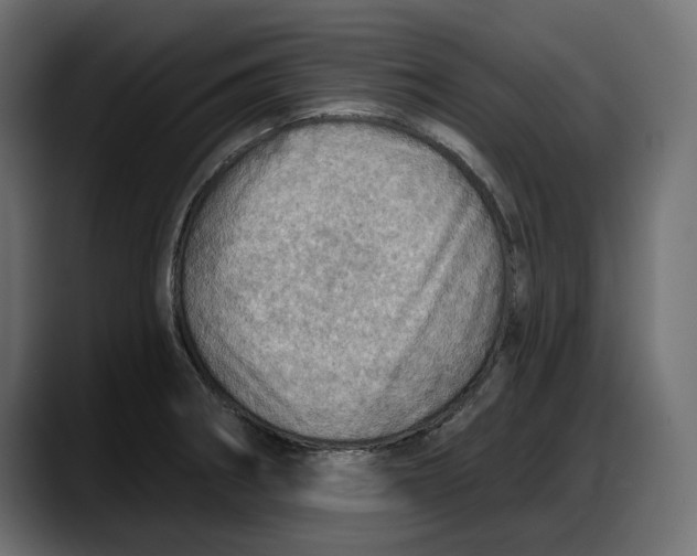 X0000087741282200705291005