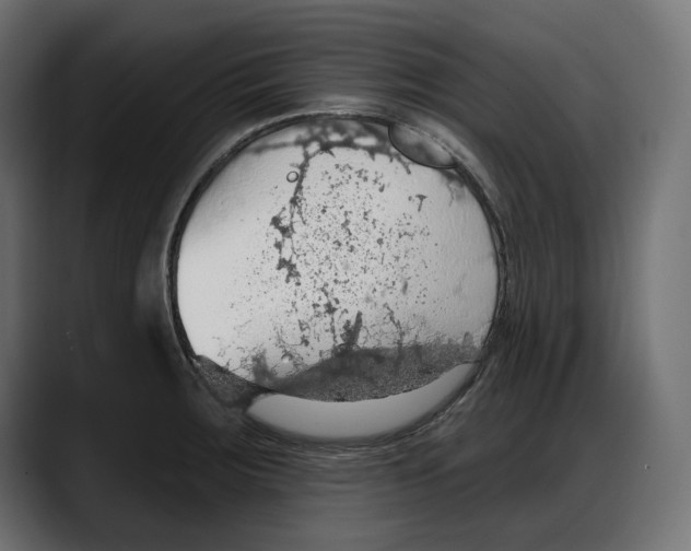 X0000087741283200705291005