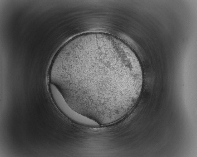X0000087741284200705291005