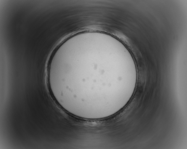 X0000087741286200705291005