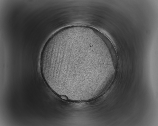 X0000087741288200705291005