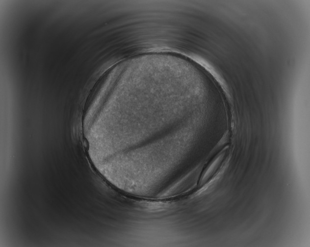 X0000087741289200705291005