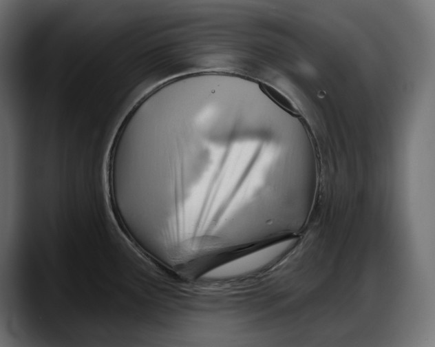 X0000087741291200705291005