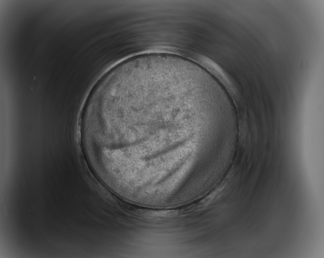 X0000087741292200705291005