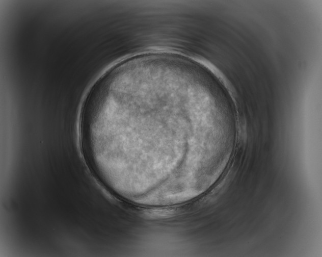 X0000087741294200705291005