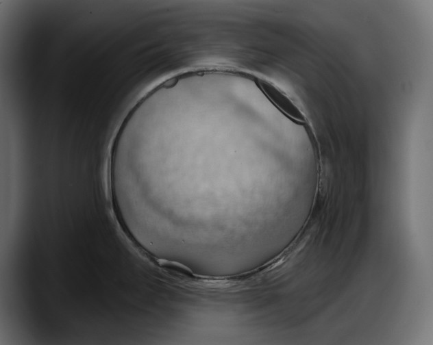 X0000087741295200705291005