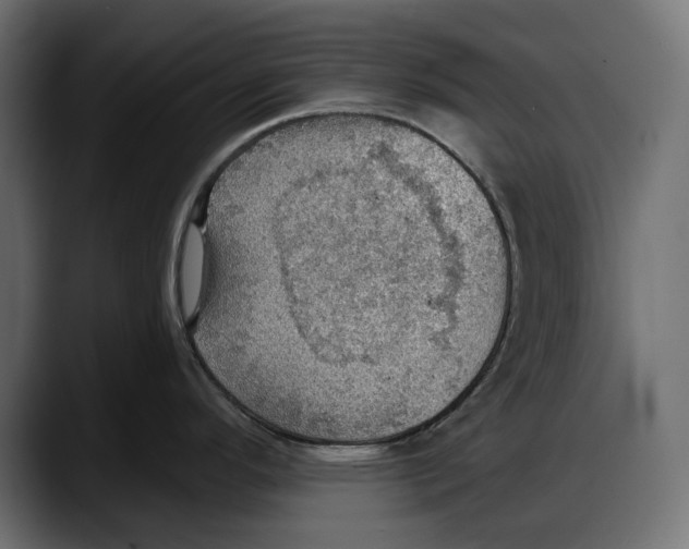 X0000087741296200705291005