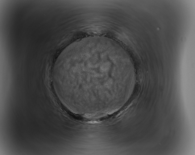 X0000087741297200705291004
