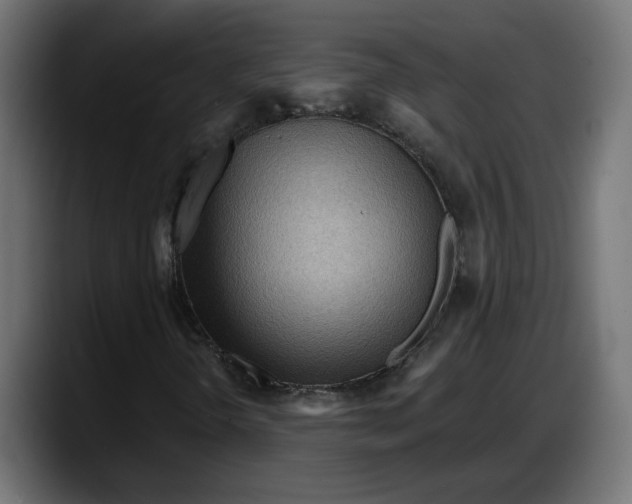 X0000087741298200705291004