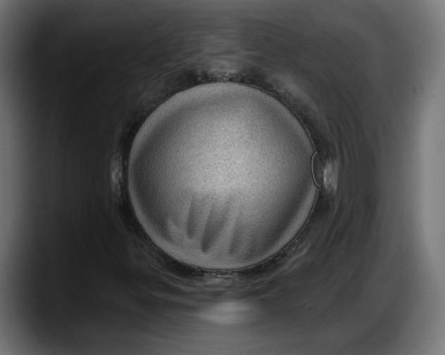 X0000087741299200705291004