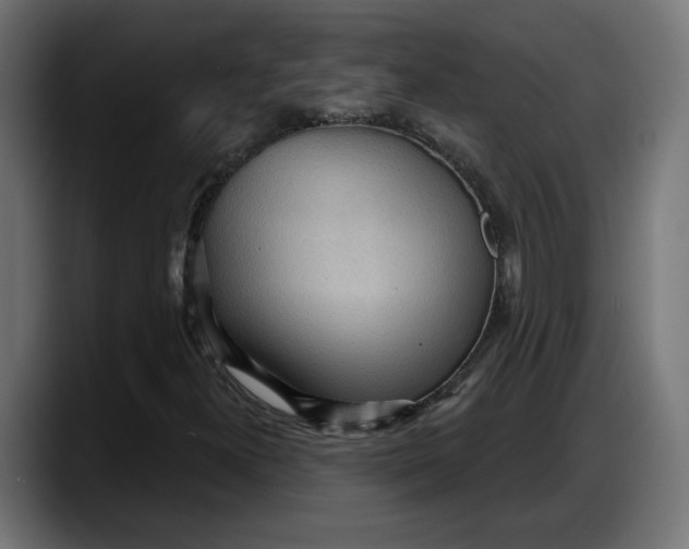 X0000087741300200705291004