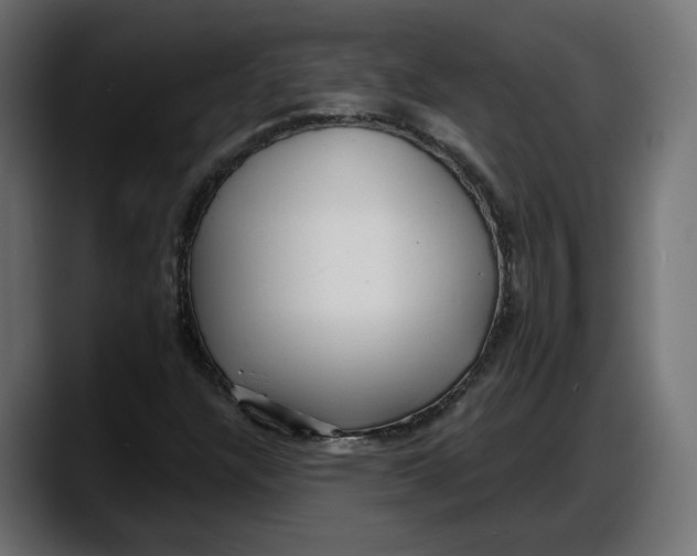 X0000087741304200705291004