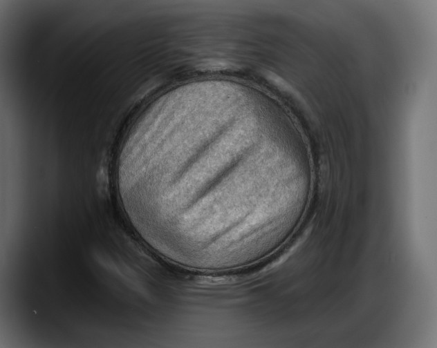 X0000087741305200705291004