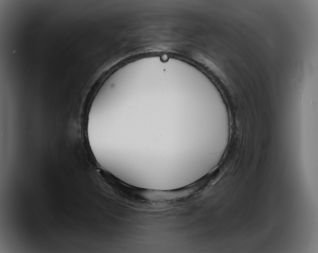 X0000087741308200705291004